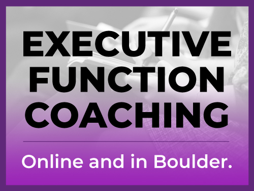 executive-function-coaching-icon-final-v2